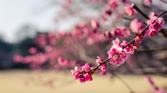 武汉海洋极地世界门票多少钱一张 武汉海洋极地世界门票多少钱一张