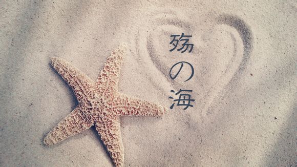 上海海洋水族馆老年人门票价格