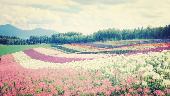嵊泗岛属于哪个市 嵊泗岛属于哪个市