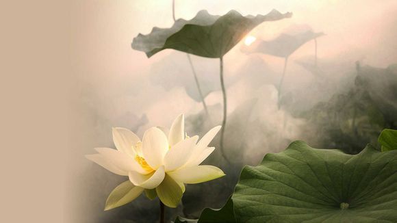 寿光蔬菜博览园开放时间 寿光蔬菜博览园开放时间